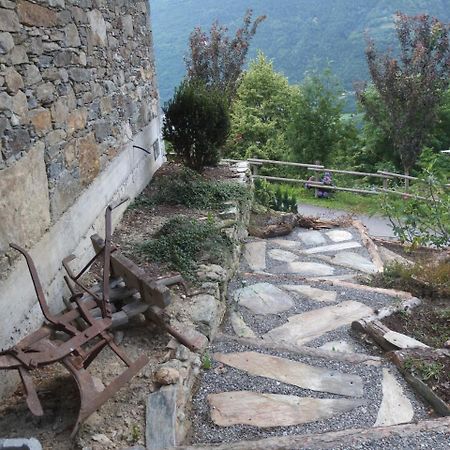 Mazzo di Valtellina Agriturismo Al Castagneto 빌라 외부 사진