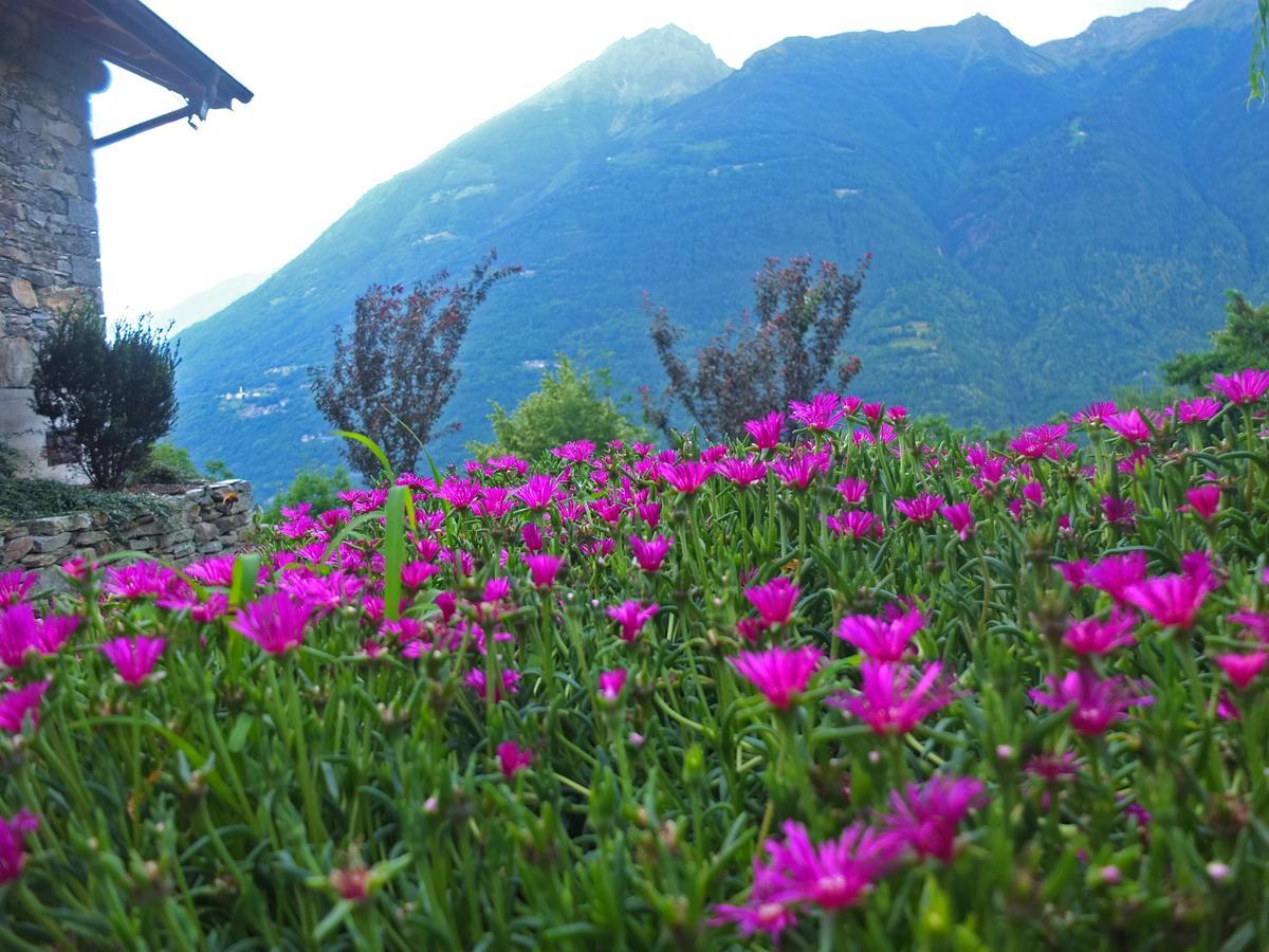 Mazzo di Valtellina Agriturismo Al Castagneto 빌라 외부 사진