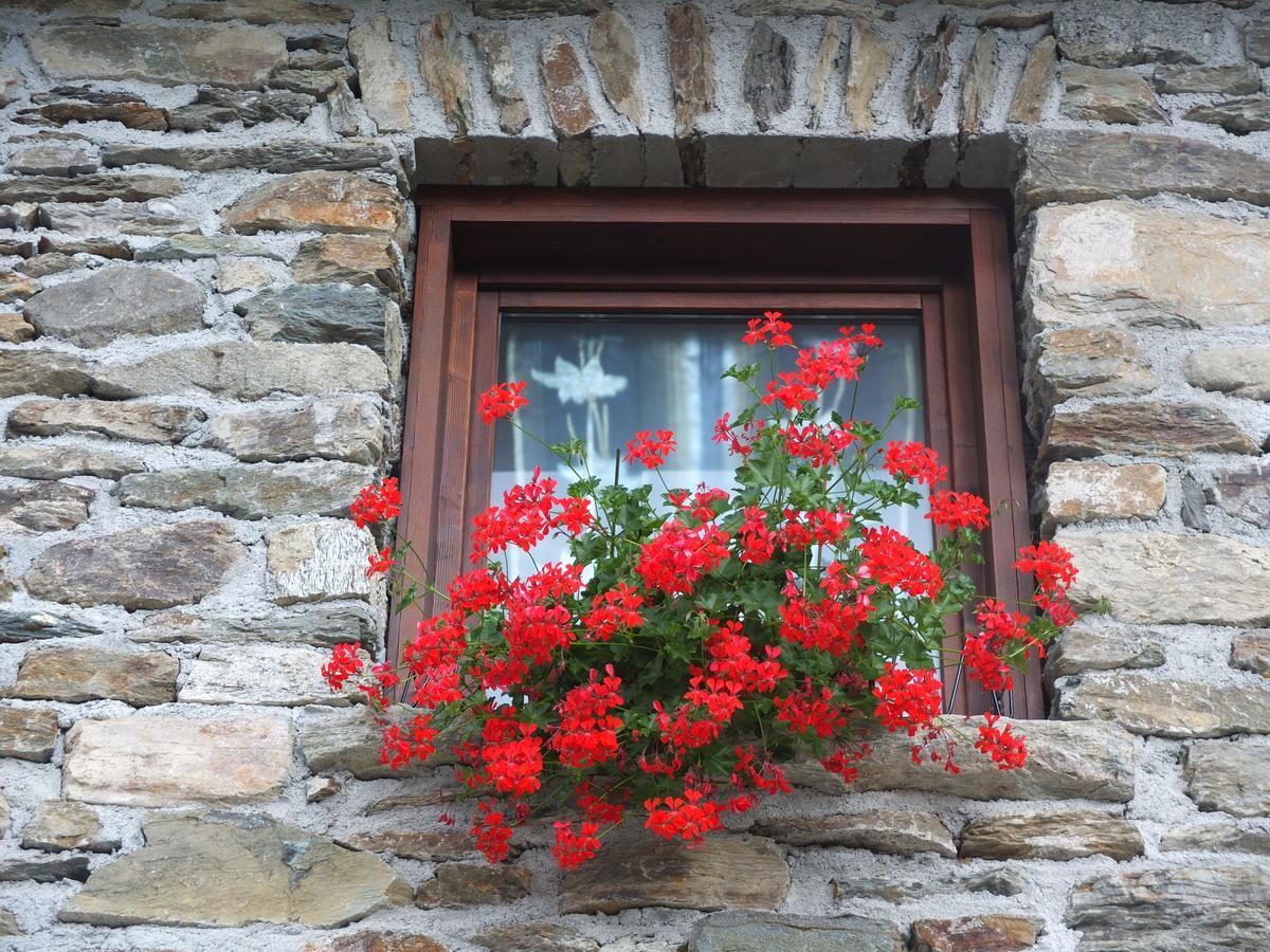 Mazzo di Valtellina Agriturismo Al Castagneto 빌라 외부 사진